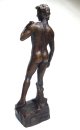 Bronze Akt - David - nach Michelangelo - Erotica