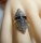 Noblesse Silber Jugendstil Navette Ring mit Markasit + Onyx