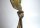 Adlerkralle Bronze Brieföffner mit Petschaft um 1910/1920