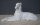 Porzellan Figur von Herend Weißporzellan Windhund Barsoi