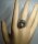 High School Ring 10K Weißgold Herff Jones von 1979 Virginia RG62  US10