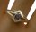 Feiner 585 Gold Ring mit 1 kleinen Diamanten RG 60