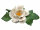 Capodimonte Porzellan Rose - ALBA - 80er Jahre für Franklin Mint