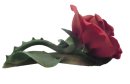 Capodimonte Porzellan Rose - AMERICAN BEAUTY - 80er Jahre für Franklin Mint