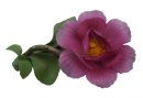 Capodimonte Porzellan Rose - CARDINAL DE RICHELIEU - 80er...
