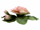 Capodimonte Porzellan Rose - DUCHESSE DE BRABANT - 80er Jahre für Franklin Mint