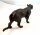 Panther - Ton Tierfigur handbemaltes Sammlerstück  50er Jahre