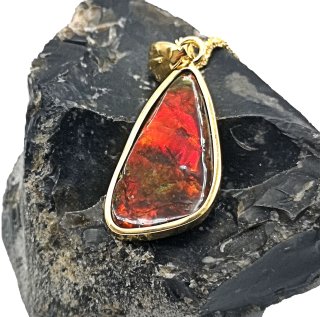 Lavarotes Ammolith Amulett gefaßt in Silber vergoldet inkl. Kette
