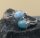 925 Silber Ohrringe mit Larimar und weißen Natur Topasen  (2)