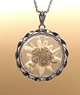 800 Silber Anhänger mit Edelweiss an Kette - Vintage 50er Jahre