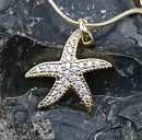 Anhänger Seestern mit 21 Zirkonia Silber an...