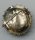 Victorianische Böhmen Granat Brosche vergoldet  um 1880