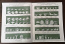 Historischer Meissen Porzellan-Katalog – Dekor „Voller grüner Weinkranz“ (Nr. 15a) – 1930er Jahre