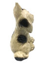 Cortendorf Porzellanfigur Hund Welpe Nr. 2663 – Vintage 1950er – 10,5 cm unbeschädigt (2)