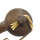Antikes Pulverhorn 19. Jh. – Originales Vorderlader-Zubehör (30 cm)